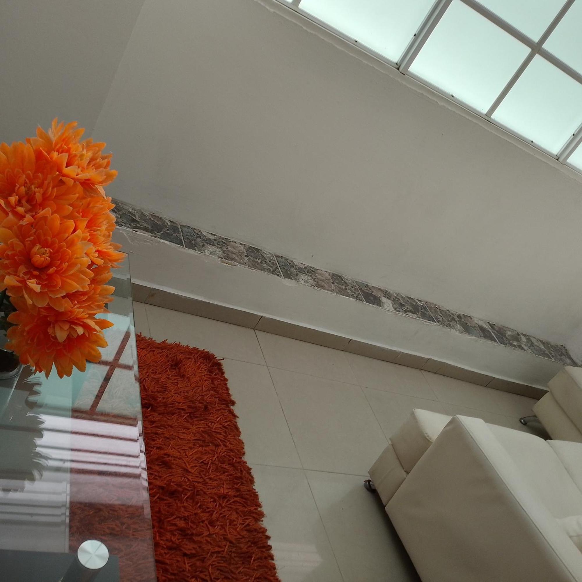Hotel Avenida53 بارانكويلا المظهر الخارجي الصورة